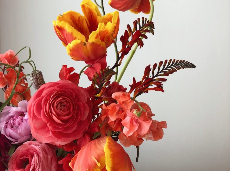 brights and bold