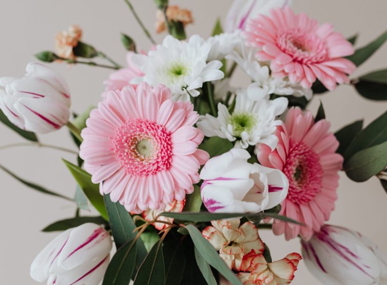 shades of pink1